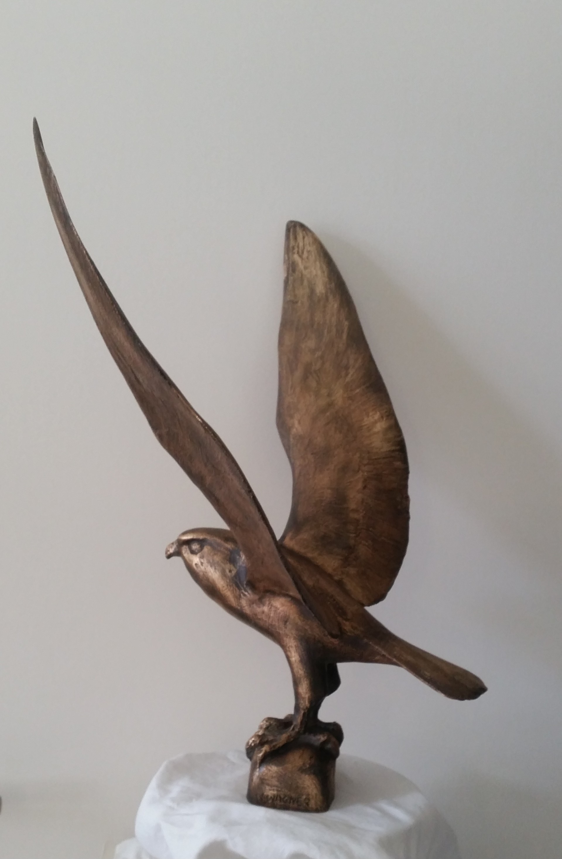 Auffliegender Turmfalke