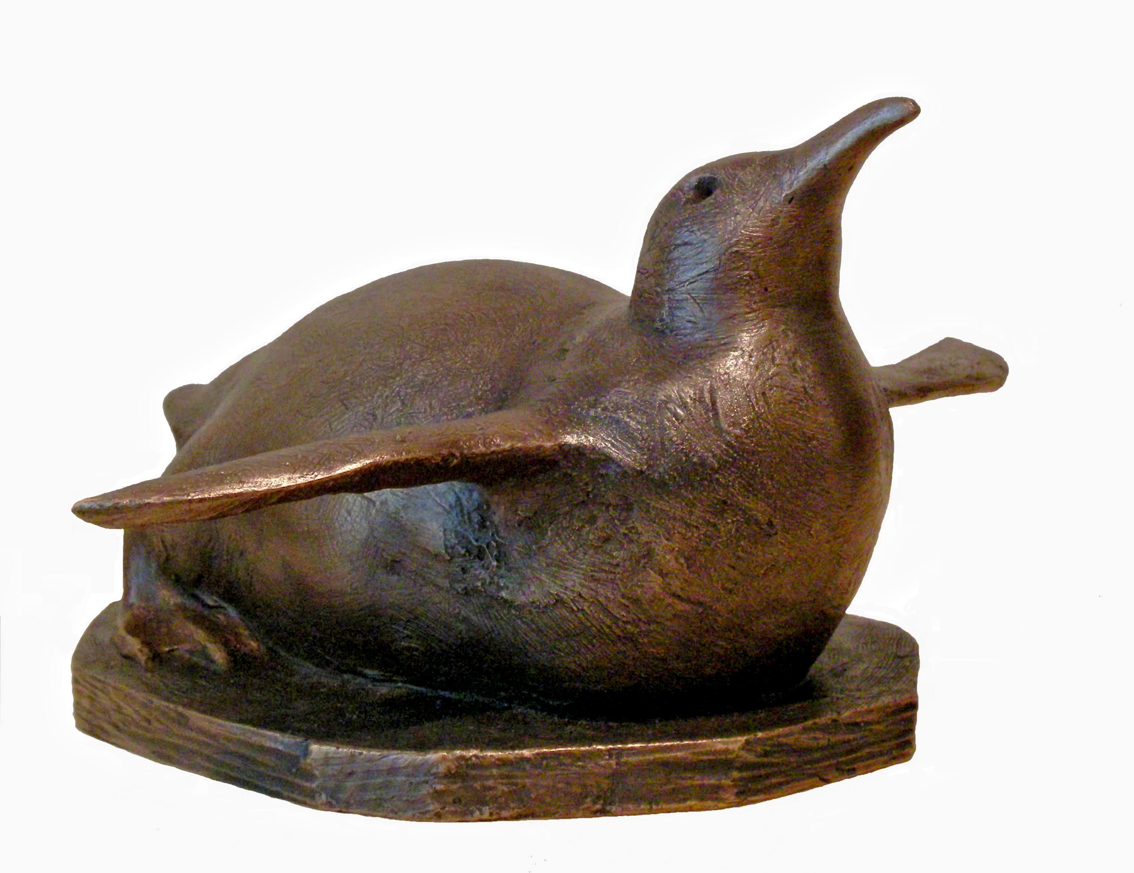 Schlitternder Pinguin