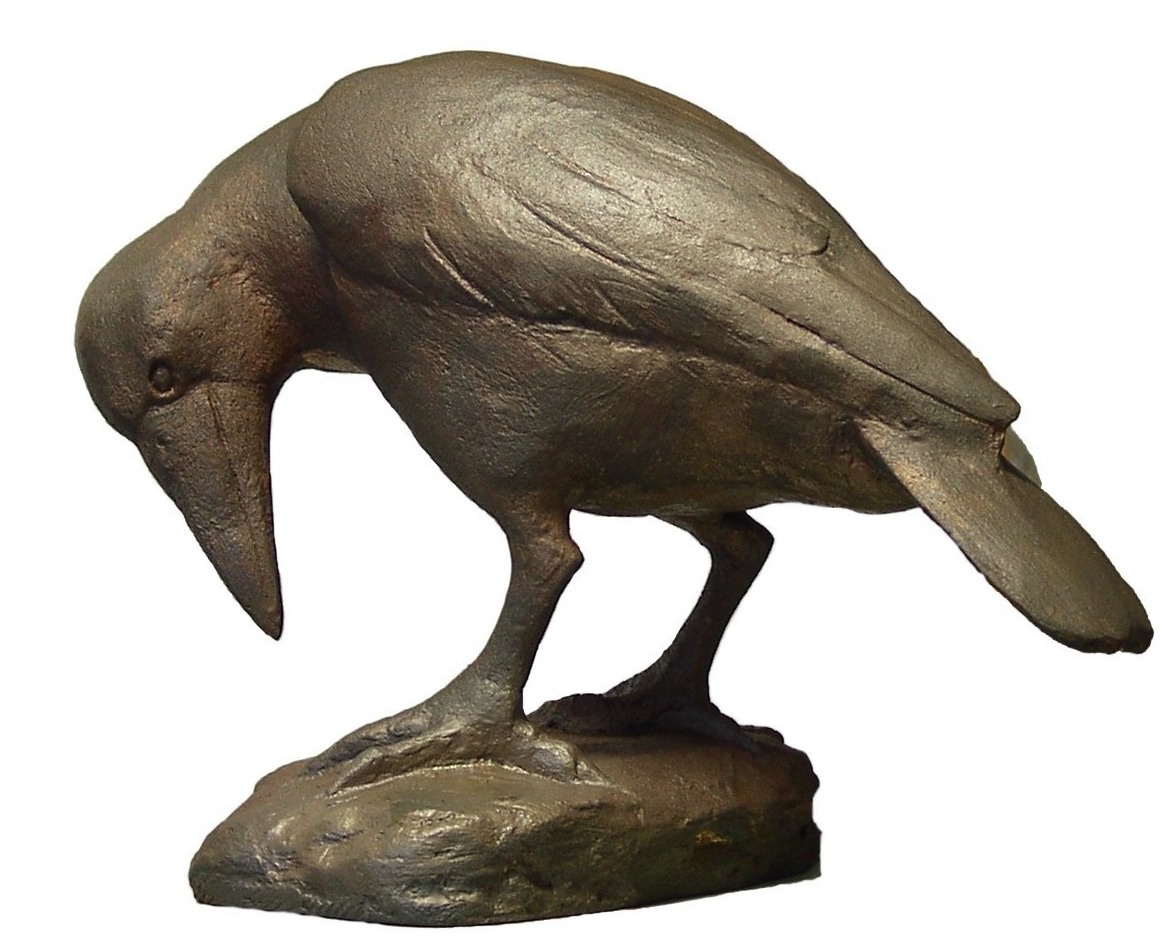 Sich wendende Krähe